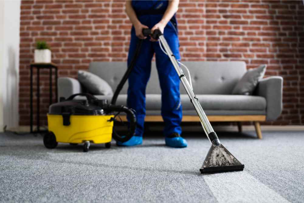 Regular Vacuuming Schedule