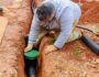 Maintain Drainage Systems during Summertime