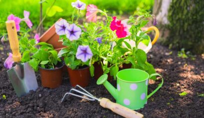Gardening Hacks