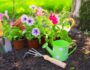 Gardening Hacks
