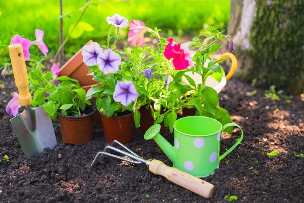 Gardening Hacks