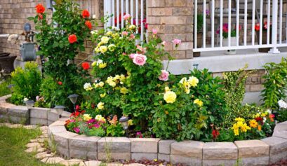Keep Your Garden Beautiful