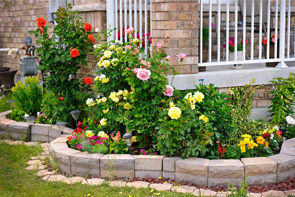 Keep Your Garden Beautiful