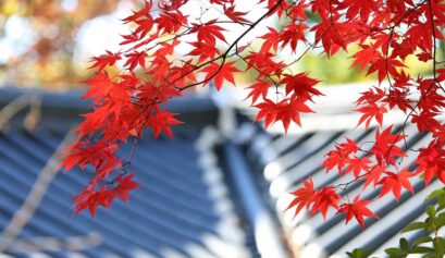 Preparing Your Roof For Autumn