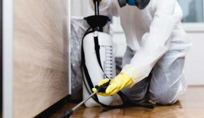 Termite Control